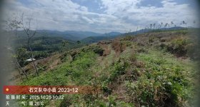 海南省直辖县保亭黎族苗族自治县海胶集团金江分公司南茂片区石艾队354.5亩林下土地出租