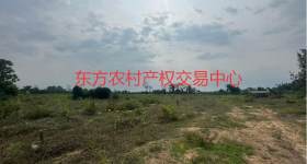 海南省直辖县东方市海南省国营岛西林场马岭森林管护站马岭老站林段1-080-1小班25.09亩国有土地流转