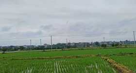 丰城市石滩镇故县村委会水田