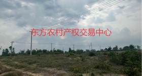 海南省直辖县东方市海南省国营岛西林场马岭森林管护站马岭老站林段1-080-4小班22.08亩国有土地流转 