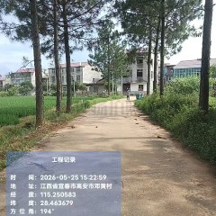 高安市石脑镇菜田村委会邓、黄组到菜田马路两边松树转让