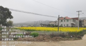 丰城市袁渡镇雷徐村委会水田