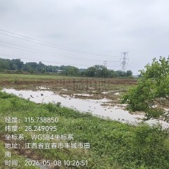 丰城市曲江镇蒋坊村委会水田