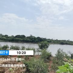 丰城市曲江镇蒋坊村委会牛栏岗荒山