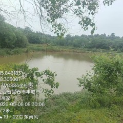 丰城市曲江镇郭桥村委会高家组鱼塘