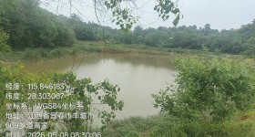 丰城市曲江镇郭桥村委会高家组鱼塘