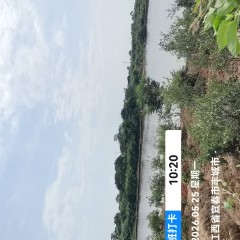 丰城市曲江镇蒋坊村委会里头垅水库