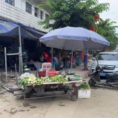 海南省直辖县澄迈县南农垦西达农场昆仑基地分公司信用社旁右起第3间40.9㎡商铺对外出租