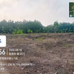 海南省直辖县白沙黎族自治县海胶邦溪分公司241亩胶园林下农业土地出租