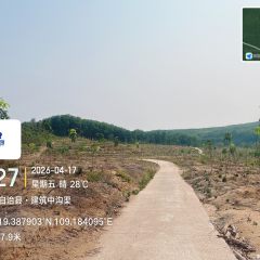 海南省直辖县白沙黎族自治县海胶邦溪分公司317.7亩胶园林下农业土地出租
