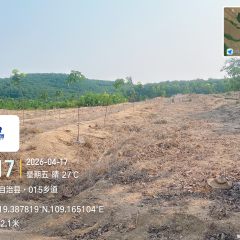 海南省直辖县白沙黎族自治县海胶邦溪分公司362亩胶园林下农业土地出租