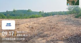 海南省直辖县白沙黎族自治县海胶邦溪分公司362亩胶园林下农业土地出租