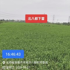 丰城市小港镇八都村委会水田
