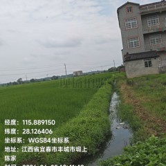 丰城市张巷镇塅上村委会水田