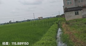 丰城市张巷镇塅上村委会水田