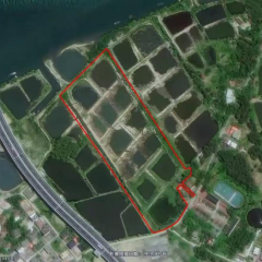 海南省直辖县万宁市和乐镇盐墩村委会42.87亩集体土地出租项目