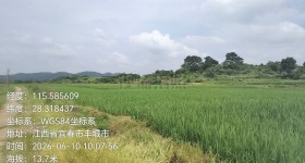 丰城市湖塘乡雄庄村委会水田