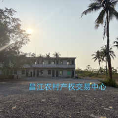 昌江黎族自治县海尾镇打显村委会打显村小学建筑面积733.71m²出租