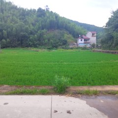 德兴市泗洲镇祝家社区居民委员会祝家社区21.37亩蔬菜基地出租