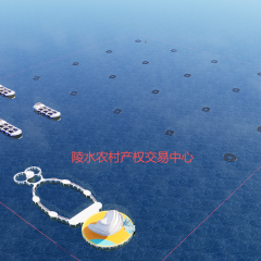 海南省直辖县陵水黎族自治县陵水湾部分深海渔业综合体（二期）海域使用权项目合作