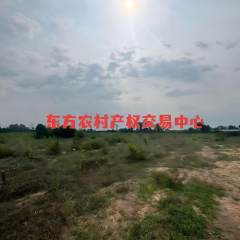 海南省直辖县东方市海南省国营岛西林场马岭森林管护站马岭老站林段1-080-1小班25.09亩国有土地流转