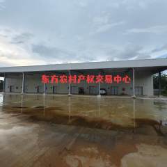海南省直辖县东方市大田镇新宁坡村冷库棚、分拣棚和空地共5.21亩出租