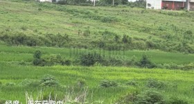 丰城市曲江镇曲江村委会旱地