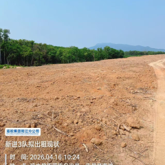 海南省直辖县琼中黎族苗族自治县海胶集团阳江分公司新进3队62.2亩胶园林下农业土地出租