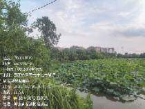 丰城市湖塘乡洛溪村委会周家湖