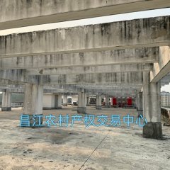 省直辖县昌江黎族自治县石碌镇海南清洁能源高新技术产业服务中心1000m²主楼楼顶屋面出租