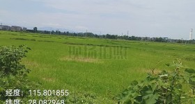 丰城市孙渡街道栗山村委会水田