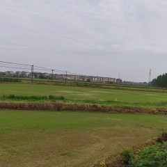 丰城市荣塘镇吉塘村委会水田