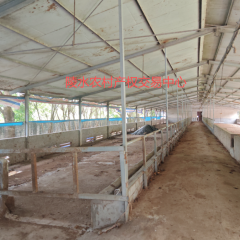 海南省直辖县陵水黎族自治县提蒙乡老长村7.22亩养殖基地出租