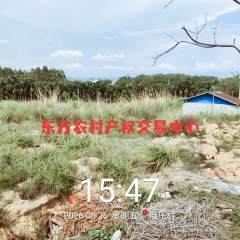 海南省直辖县东方市大田镇俄乐村原百香果基地12.69亩集体地出租