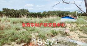 海南省直辖县东方市大田镇俄乐村原百香果基地12.69亩集体地出租