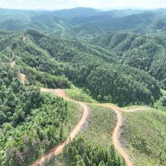 湖南怀化市会同县地灵乡地灵村“井水冲”一带山场1号小班出材约553立方米的林木所有权转让