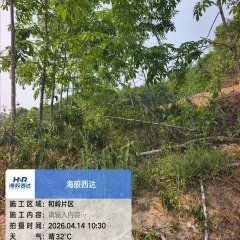 海南省直辖县澄迈县西达分公司和岭片群昌队51.18亩林下土地出租