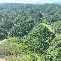 会同县地灵乡地灵村村委会地灵乡地灵村“井水冲”一带山场2号小班出材约626立方米的林木所有权转让