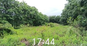 海南省直辖县临高县海胶红华分公司红华片区红旗12队241.27亩胶园林下农业土地出租
