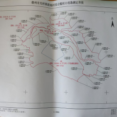 海南儋州市光村镇新地村委会糯村小组4087.755亩集体土地出租