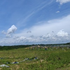 文昌市翁田镇博文村委会大段仔村小组169.7亩林地出租