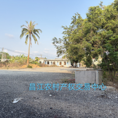昌江黎族自治县海尾镇打显村委会打显村小学建筑面积733.71m²出租
