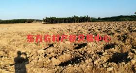 海南省直辖县东方市感城镇陀烈村集体地块（三）4.63亩集体土地发包