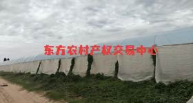 海南省直辖县东方市感城镇感北社区印湾穴地块三65亩集体土地发包 