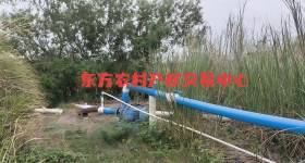 海南省直辖县东方市感城镇陀烈村艾墩葬坟地块27.17亩集体土地发包  