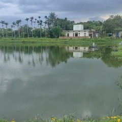 海南省直辖县琼海市潭门镇社昌村石岭组下埇水田坡地85.74亩出租