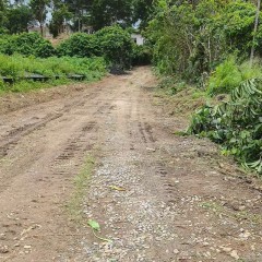 海南省直辖县琼海市万泉镇加城村委会加一村地块10.43亩集体地流转