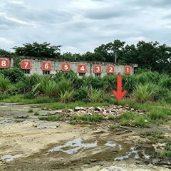 海南儋州市海南省木排热带作物场有限公司5-9号仓库（总建筑面积150㎡）出租
