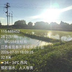 丰城市尚庄街道洪塘村委会集体水田