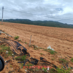省直辖县陵水黎族自治县黎安镇岭仔村地块2集体耕地217亩经营权出租